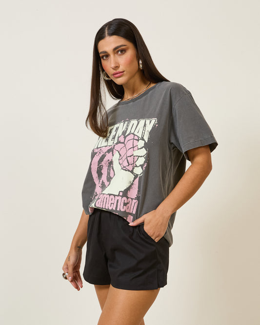 Blusa Camiseta Estampa Green Day CINZA